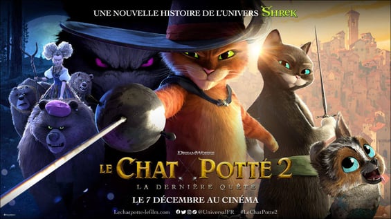 Chat Potté